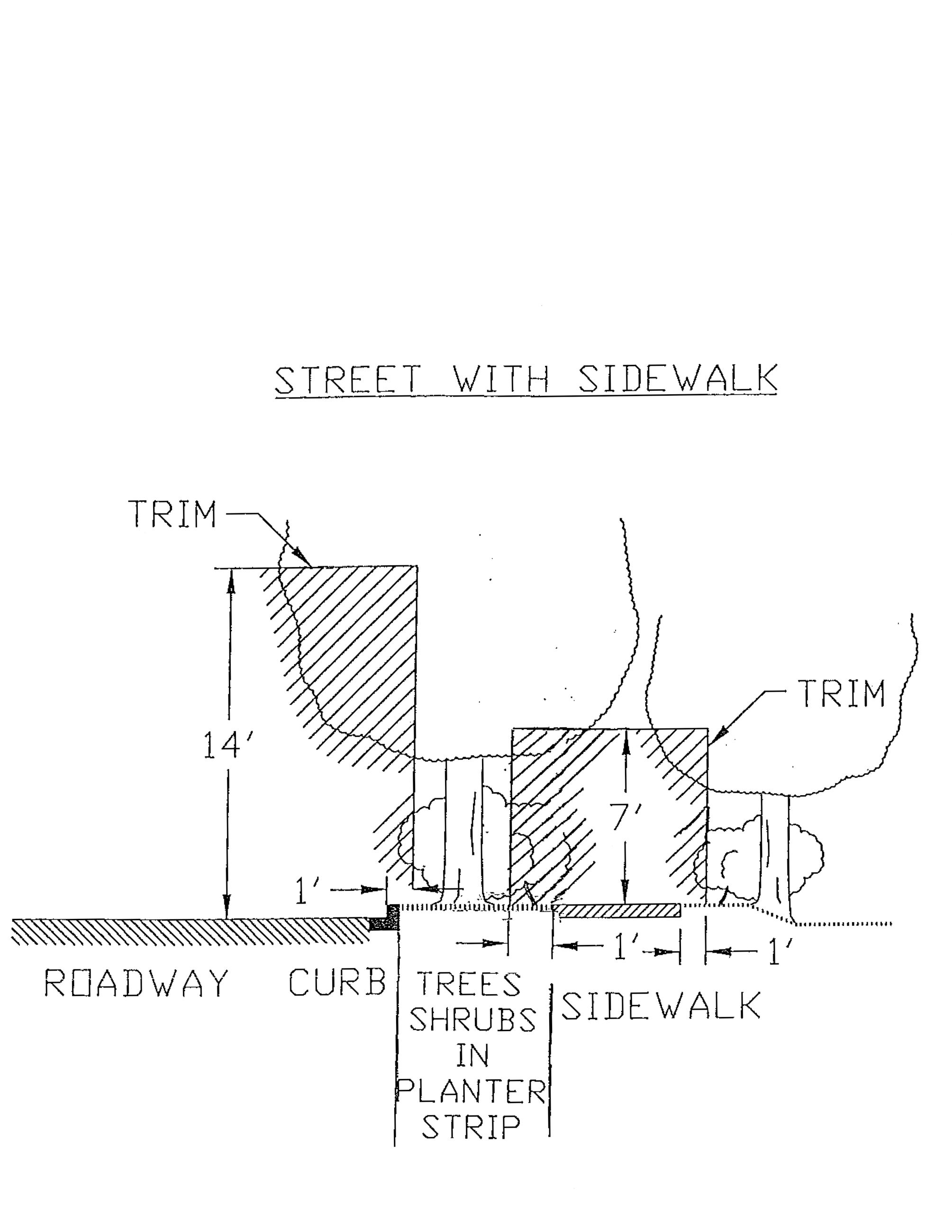 Street with Planter and Sidewalk