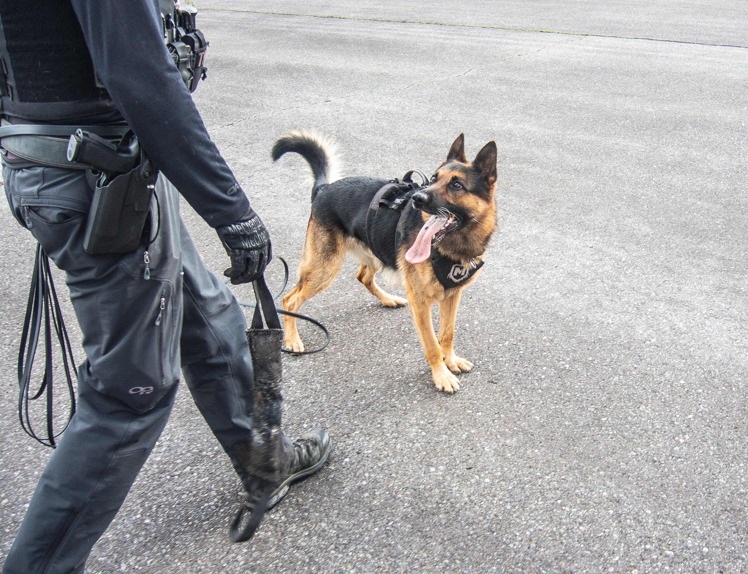Copper search training