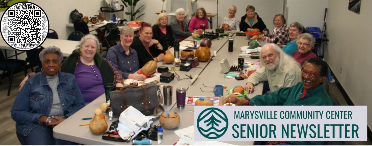 Senior center newsletter banner