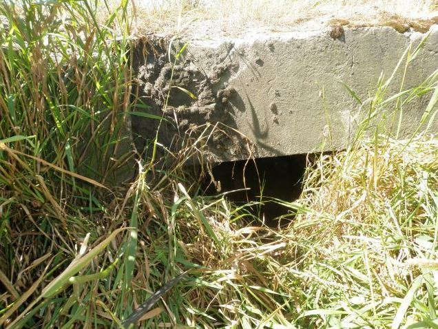 WSDOT Edgecomb Creek project 1