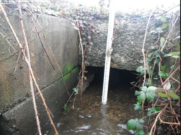 WSDOT Edgecomb Creek project 2