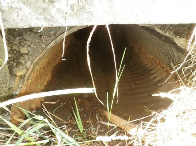 WSDOT Edgecomb Creek project 5